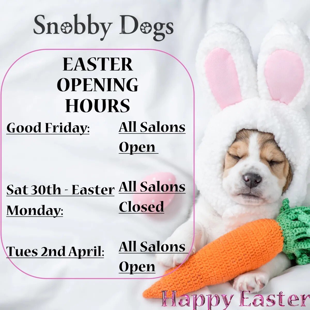 SnobbyDogs's tweet image. 🐣Easter Opening for all Snobby Dogs Salons🐣

#easter #easterbunny #easterpuppy #easterdog #easter2024 #happyeaster #eastertradinghours #easteropeninghours #doggroominguk #doggroomingmanchester #doggroomingstockport #dogsgram #instadog #instagood #instagram #dogsofx #dogs