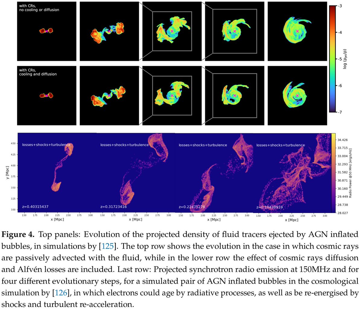 Our (Vazza+myself) review is on arxiv We provide a concise overview of the observational+theoretical knowledge of the seeding of cosmic ray electrons by cluster radio galaxies. This field is rapidly evolving: we believed that is was time to make the point arxiv.org/abs/2403.16068