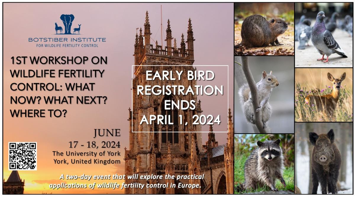 Register by 01 #April 2024 for early bird registration for @BotstiberIWFC first #wildlife #fertilitycontrol workshop in #York, 17-18 #June 2024. Talks from experts across #Europe are followed by group discussions on the second day. #conservation Register: wildlifefertilitycontrol.org/workshop-regis…