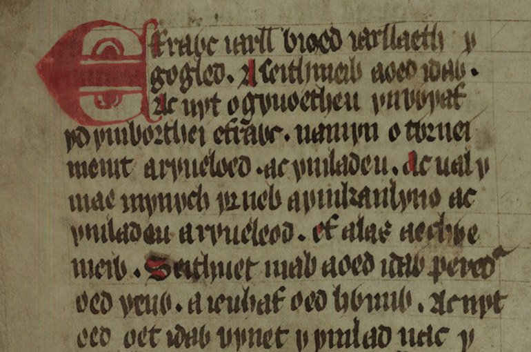 Van Hamel Stichting tweet media