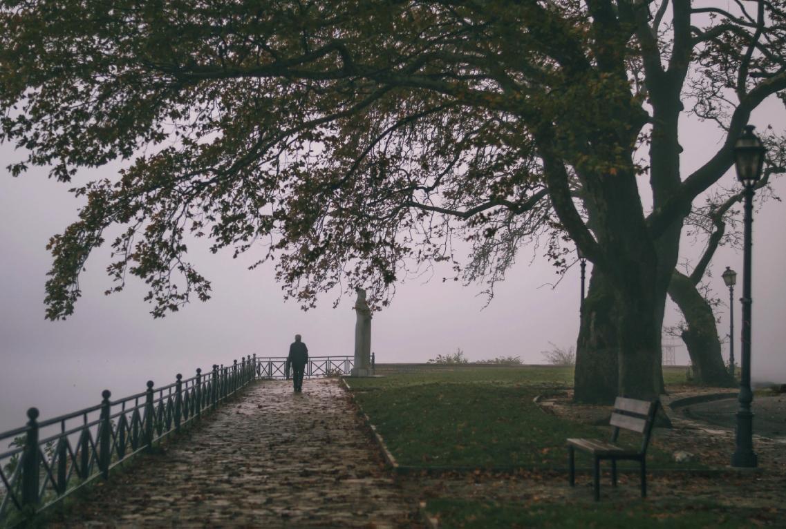 Lake Pamvotida, Ioannina
#ioannina #giannena #epirus #Greece #pamvotida #mycity #whereilive #silhouette #nikon #nikond3100 #nikonphotography #photooftheday #PhotographyIsArt #photographylovers #photography #fog #lakeside