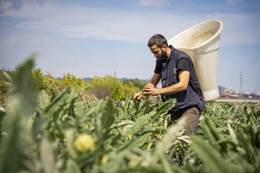 📺«Ser pagès és un orgull»🌾

Un vídeo de la Fundació @AmicsAmigues de la Pagesia, d’@uniopagesos, celebra les persones que treballen la terra per proveir-nos d’aliments frescos i de qualitat👉youtube.com/watch?v=hUlDuc…

#AlimentemBCN #AlimentacióSostenible