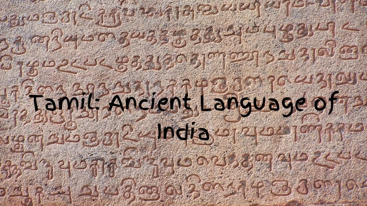 uniquetimesorg's tweet image. Unraveling the Origins: The Oldest Language in the World and Its Deep Roots in India

Know more: uniquetimes.org/unraveling-the…

#uniquetimes #LatestNews #oldestlanguage #India #tamil