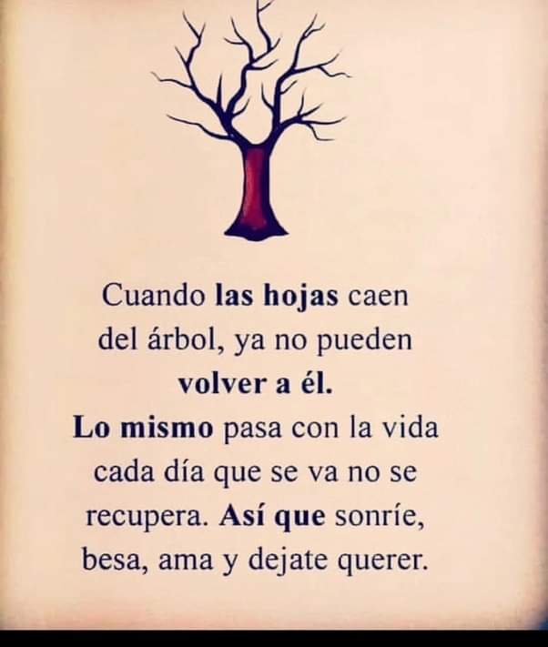 VidaEquilibrada (@vidaequilibrad4) on Twitter photo 