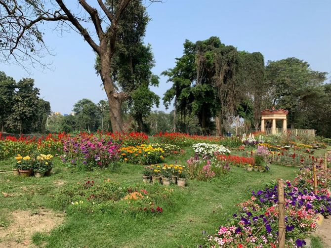 The Botanic Garden and the Roxburgh Project in the news! Thank you Payal Mohanka for a super article. We need more such! @ModhurimaSinha @AmitGuha2020 rediff.com/news/special/r…