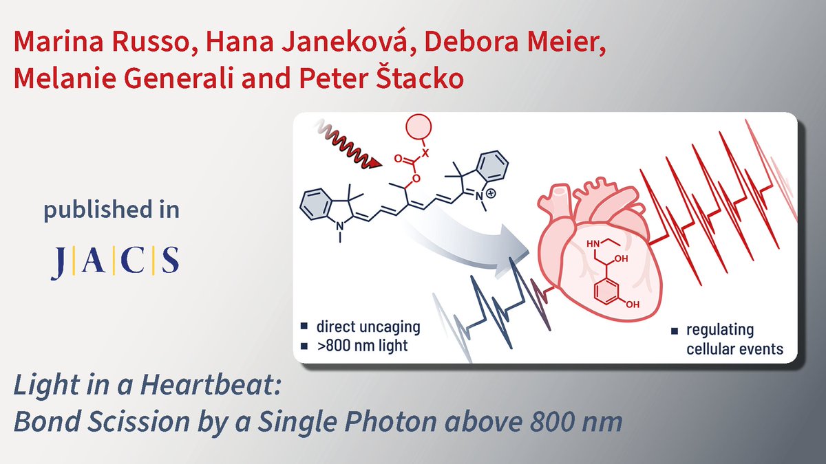 Just published in @J_A_C_S by the group of @PStacko @UZH_Chemistry : Tissue-penetrating photons help controlling biological processes - check out their cyanine photocages that modulate how fast cardiomyocytes beat: pubs.acs.org/doi/full/10.10…