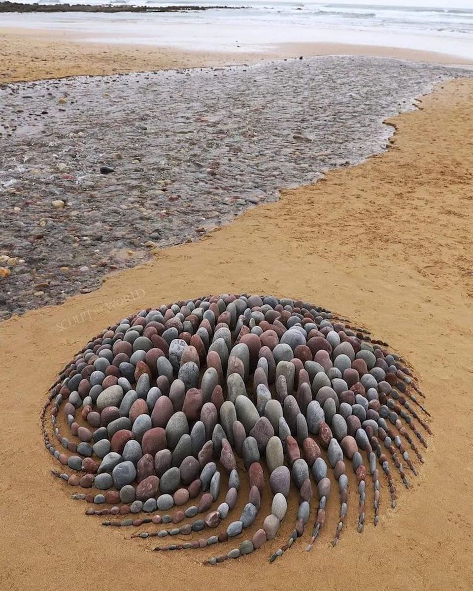 Magical Stone Art 🗿 by Jon Foreman
#stone #stoneart #landart #beach