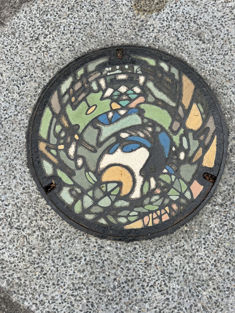 When in #Taiwan. Collect pictures of manhole covers. @BiobotAnalytics