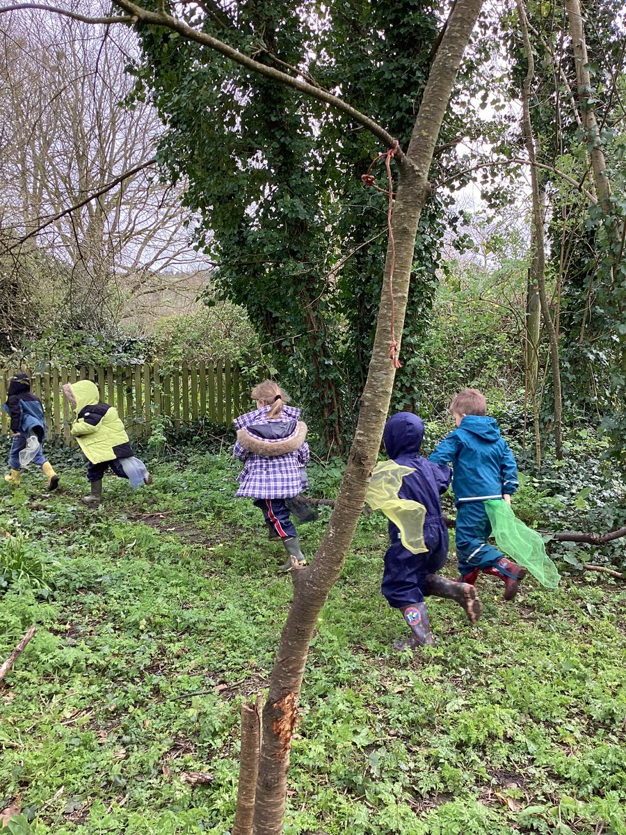 Hedgehogs-SAFontmell-Rec tweet media