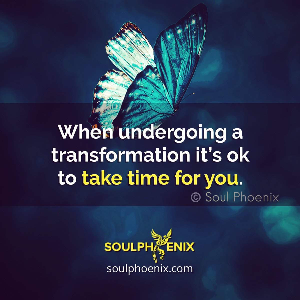 Apologies for the lack of regular posts from me. I’m just finishing my Masters (Applied Positive Psychology and Coaching Psychology). Looking forward to sharing all I’ve learned soon though! ✨🙏🏾❤️✨
#growth #mentalhealth #wellbeing #resilience #motivation #positivepsychology