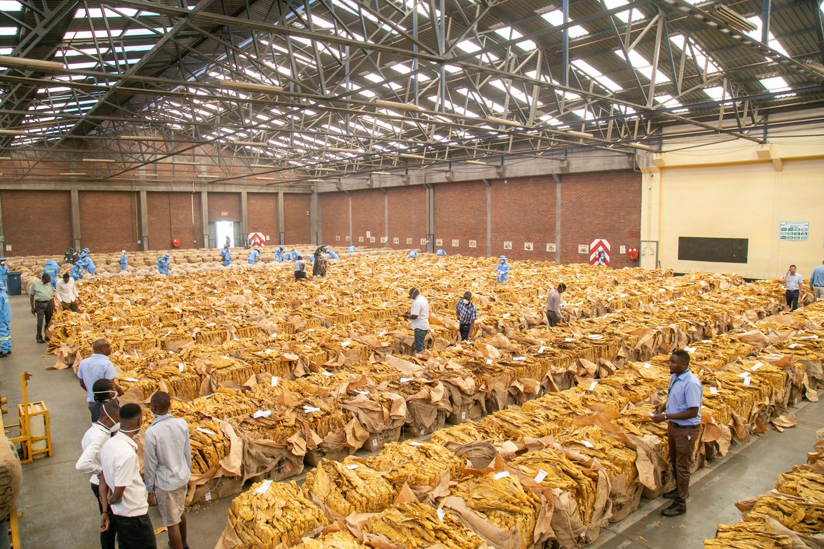 The 2024 tobacco selling season has kickstarted and our Contract Floor opened with huge momentum, with farmers delivering high quality tobacco despite the drought that is threatening the country's harvest <a href="/ChineseZimbabwe/">Chinese Embassy in Zimbabwe</a>