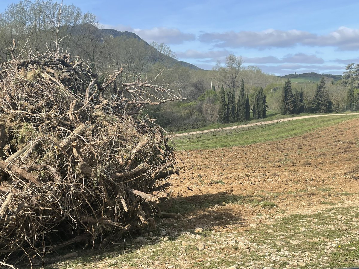 Bodegas Caudalia tweet media
