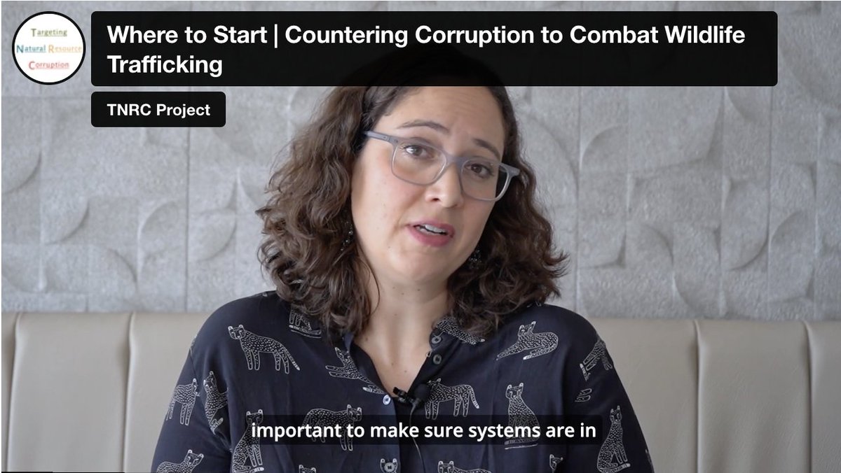 It's brilliant that there's so much more interest in how corruption drives illegal wildlife trade – but it's sometimes hard to know where to start! So take 3 minutes to what this short intro video by the @TNRCproject, featuring among others our Senior Specialist for Green…