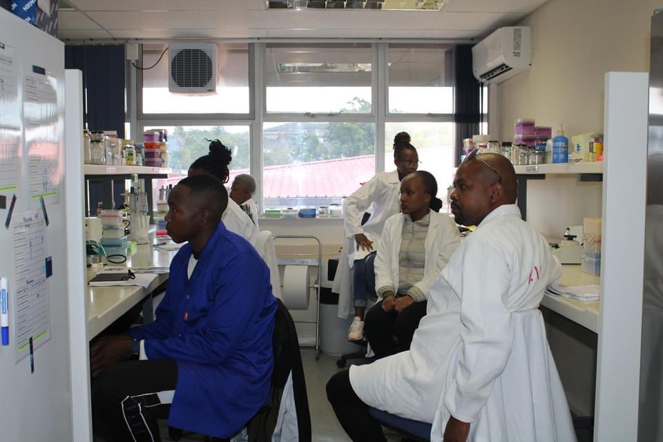 Check out the exciting fundamentals of molecular biology workshop that was held in the AGRP lab. Attendees had a glimpse into this genomics world that we love! Thanks to @diplomics_sa & @NRF_SAIAB #genomics #capacitybuilding #training