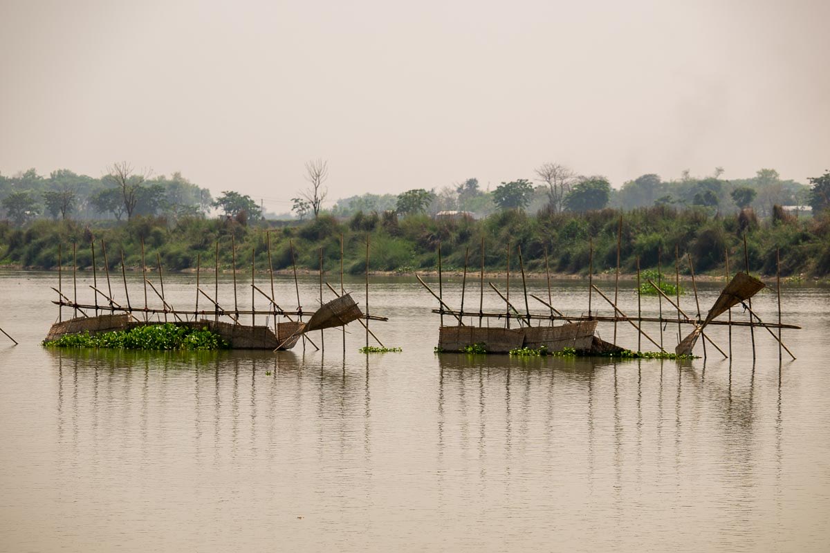 The Howorths tweet media