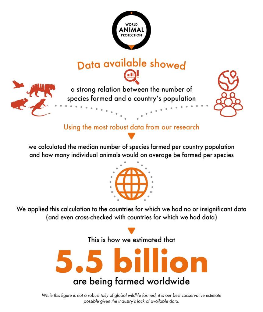 The lack of transparency in wildlife farming conceals immense animal suffering, from malnourishment to disease, highlighting the urgent need for reform- world animal protection 
#EndWildlifeFarming