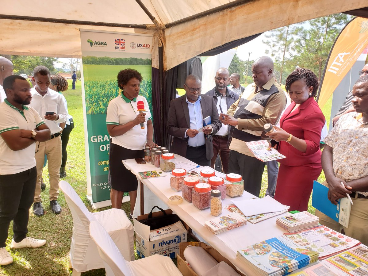 The Grain Council of Uganda participating in the Launch of the National Campaign on Aflatoxin Control at NACRRI-Namulonge @MAAIF_Uganda @FRAUGANDA @USAID @IITA_CGIAR @farmersmedia @WFP @narouganda