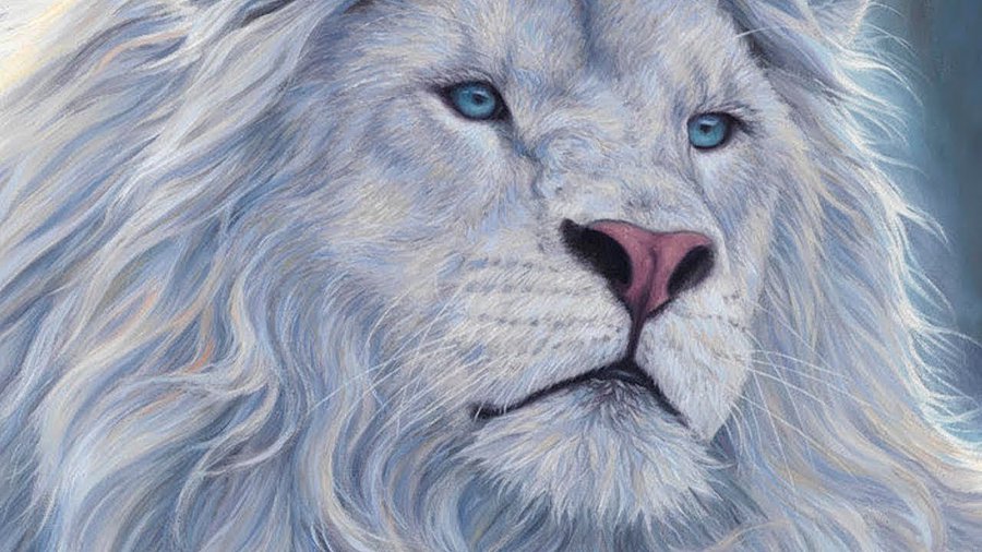 ورجعت من تاني سلطان زماني 😎✨