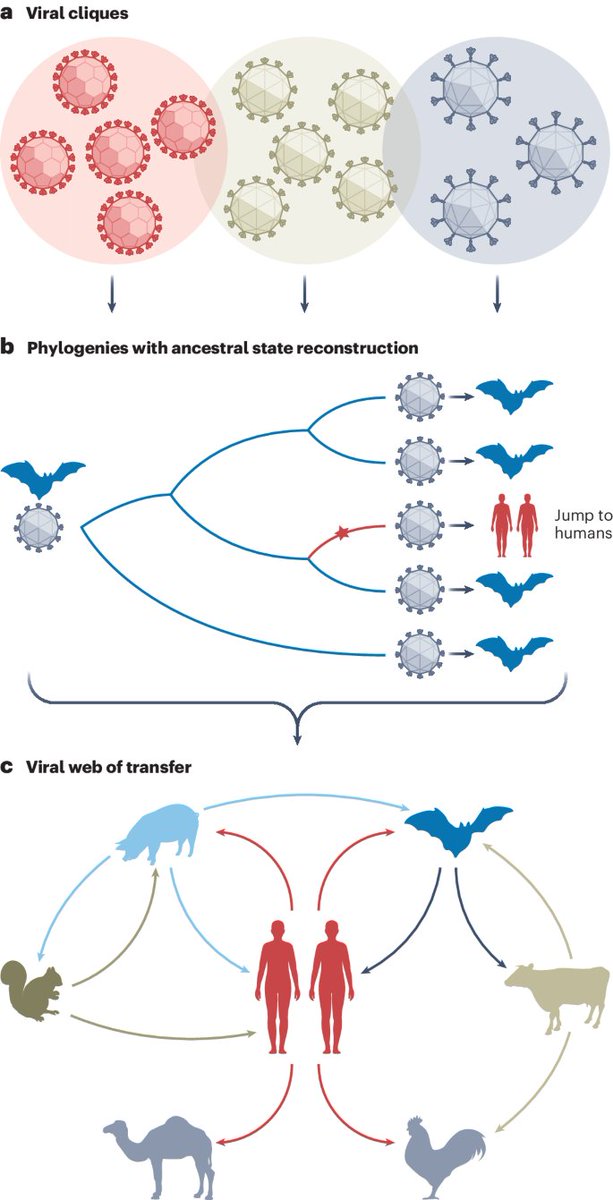 An analysis of publicly available viral genomes explores the evolutionary dynamics of host jumps and shows that humans are as much a source of viral spillover events to other animals as they are recipients. rdcu.be/dCuwI