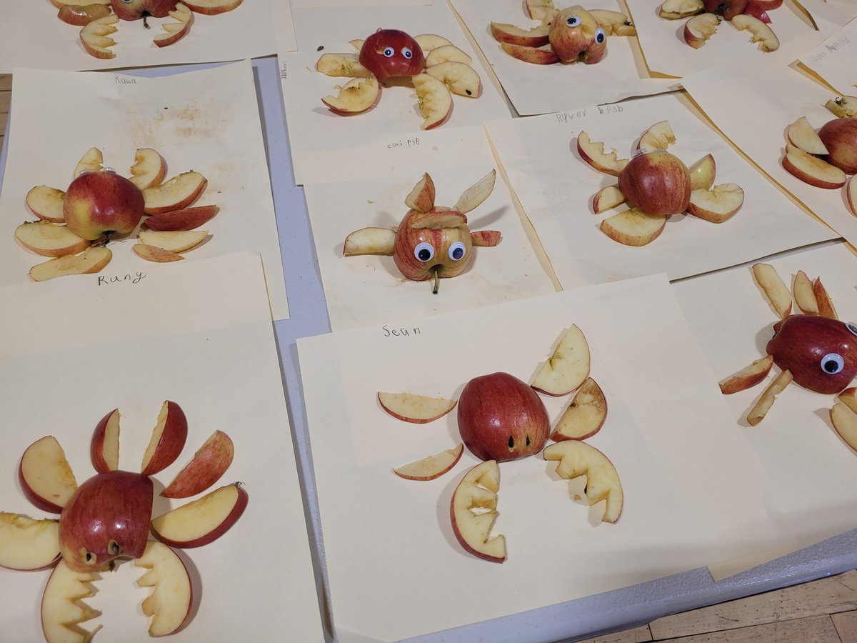 Miss Innes tweet media