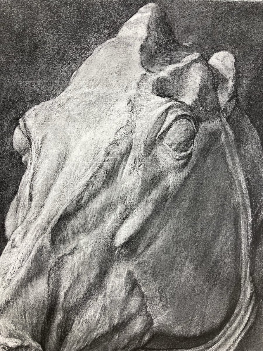 3年前に久しぶりに描いた石膏デッサン。セレネの馬を描いたのは初めて