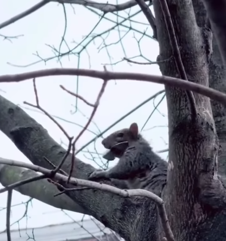 Grindmaster Fesxh / aktuell kein Bock (bb) tweet media