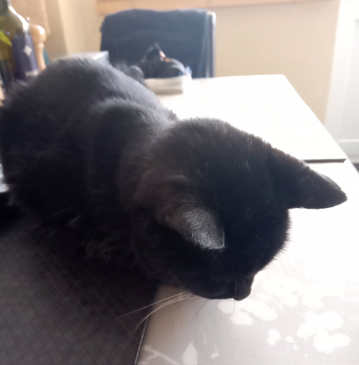 Nigel Sadler tweet media