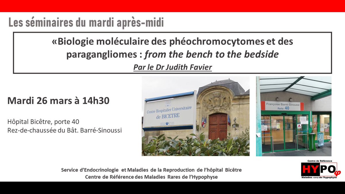 Séminaire d'#endocrinologie du mardi après-midi à l'@Hopital_Bicetre : cet après-midi le Dr @JudithFavier (@Inserm @univ_paris_cite @SFEndocrino) fera une présentation intitulée 'Biologie moléculaire des phéochromocytomes et des paragangliomes : from the bench to the bedside'