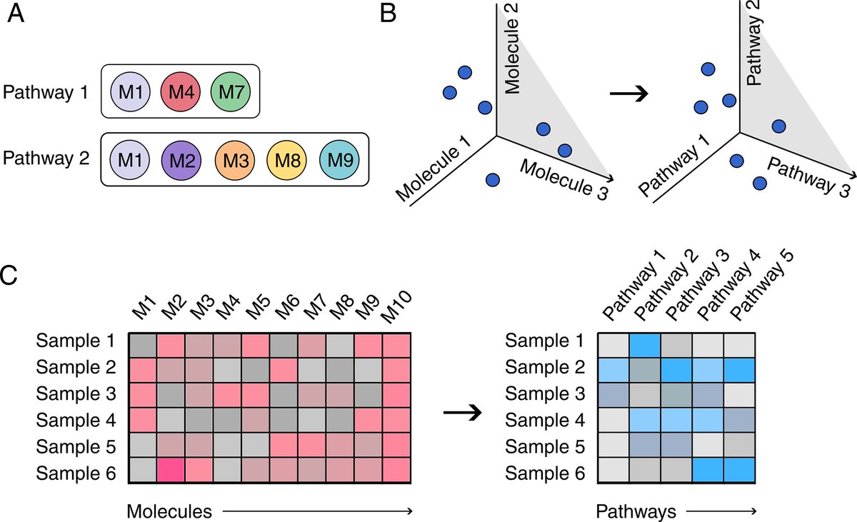 Another paper from fruitful collaborartion with @tebbels @cwieder_ #pathintegrate method for pathway based multivariate analysis of omics data. journals.plos.org/ploscompbiol/a…