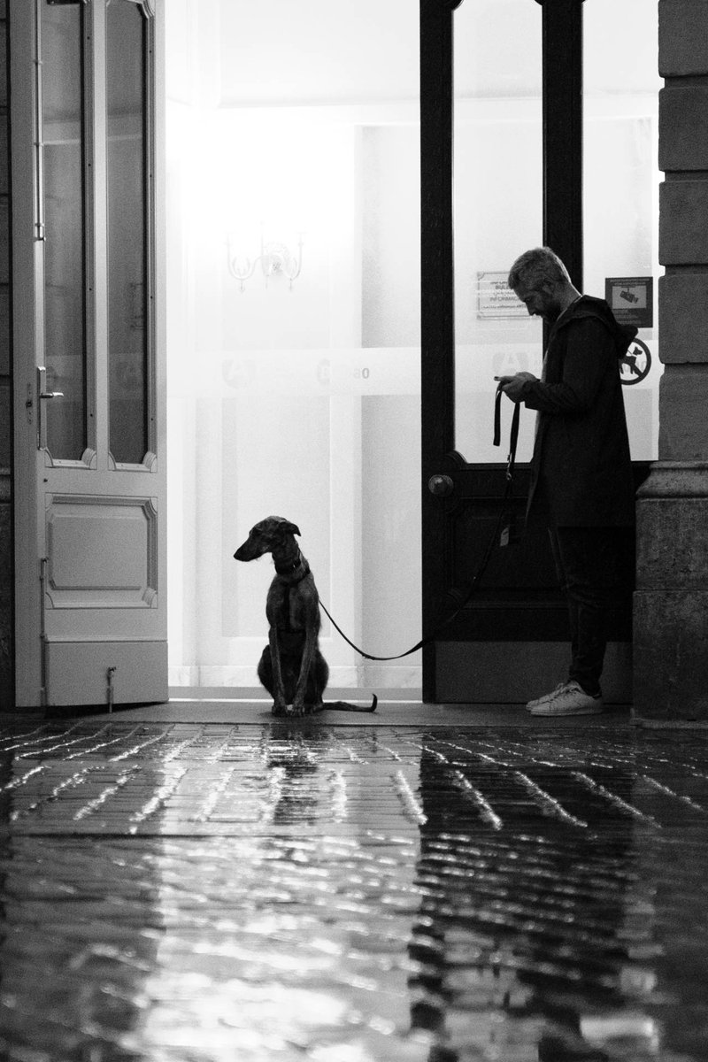 Llevo unos días bastante enfadado con el mundo así que ayer a la tarde, cogí mi cámara y un chubasquero y me fui a vagar durante un par de horas por Bilbao para aclarar la mente.

Aquí os dejo un hilo con unas cuantas fotos en un estilo que pocos me conocéis. ⤵️