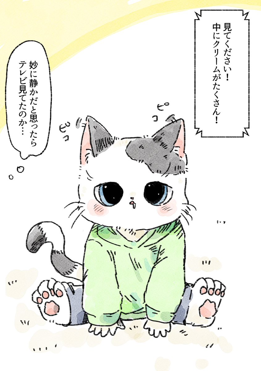 真剣な眼差し🐈 