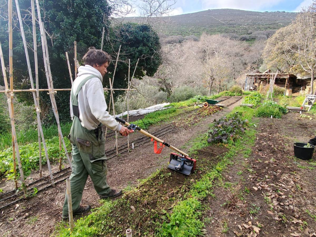 Snapshots of the #TinosEcoLodge! 🧑‍🌾A sustainable & circular facility in Tinos, Greece where we study the #WEFE #nexus in tourism🫧🌞🥦 #rainwaterharvesting #solarenergy #farming #DS2 #NexusDemoSite @PrimaProgram @NtuaSel