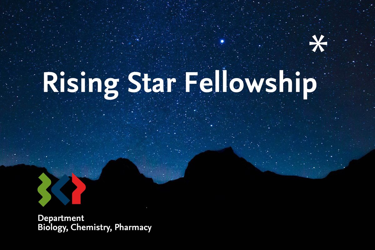 📣Next call for @fubcp RISING STAR 2-year #Postdoc #fellowships #biology #biochemistry #chemistry #pharmacy For early-career researchers who have completed their doctorates within the last 4 years - preferably from abroad Deadline: May 31, 2024 bcp.fu-berlin.de/en/forschung/r…