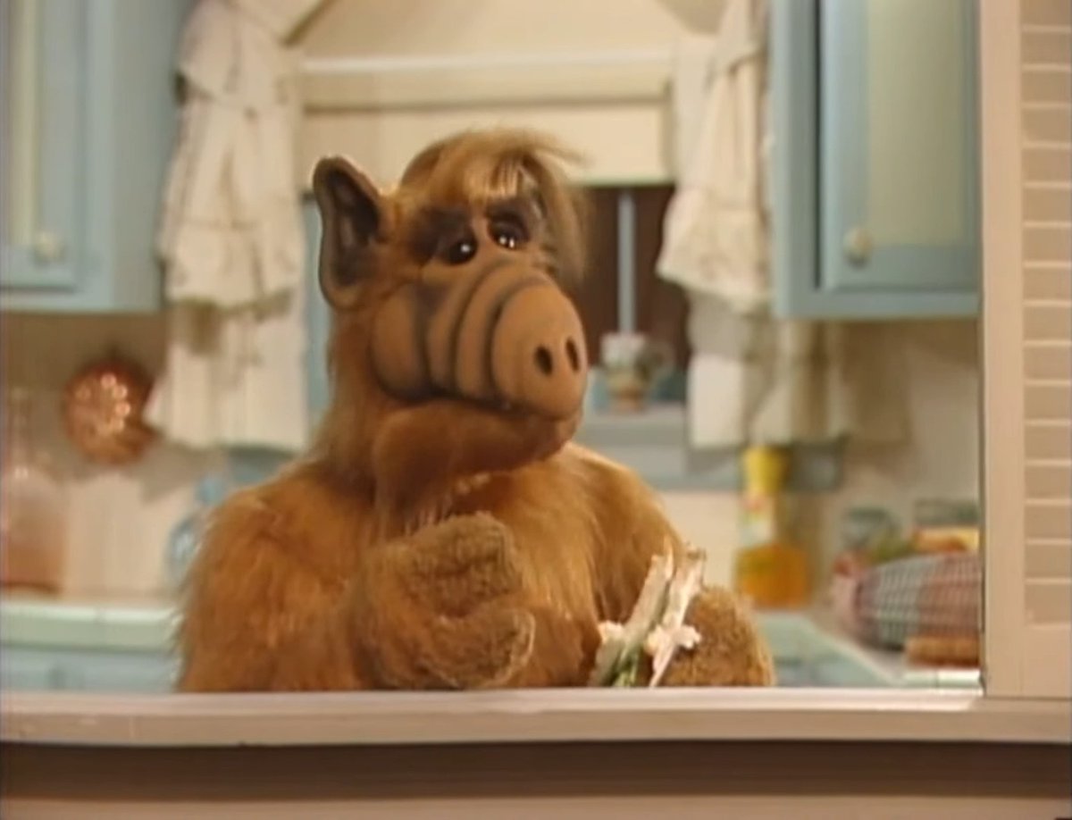 かつてNHK教育で放送されていた海外コメディドラマ『アルフ』がYouTubeで無料配信中
jp.ign.com/drama/74142/ne…

所ジョージの吹き替えが懐かしい