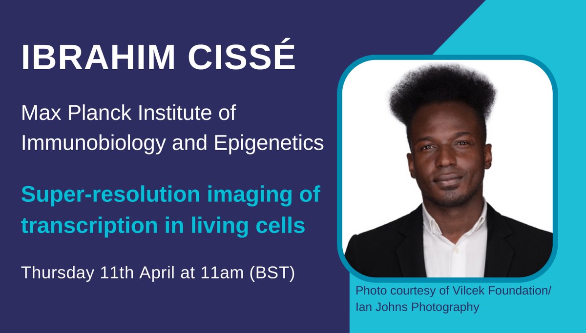 Don’t miss the next #LMBSeminar by @IbrahimCisse_, Director of the MPI of Immunobiology and Epigenetics in Freiburg @mpi_ie, on ‘Super-resolution imaging of transcription in living cells’ Join us at 11am (BST) on Thursday 11th April More info: www2.mrc-lmb.cam.ac.uk/news-and-event…