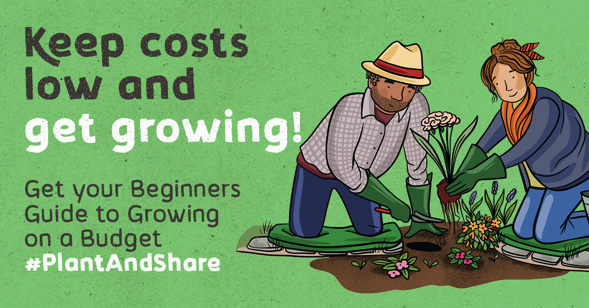 Are you ready to #PlantAndShare?
Running from 1st-30th April, whether you’re brand-new to growing or a more experienced gardener looking for some new ideas, the @SAfoodforlife toolkit is full of inspiration to help anyone get growing regardless of budget.
fflgettogethers.org/our-events/pla…