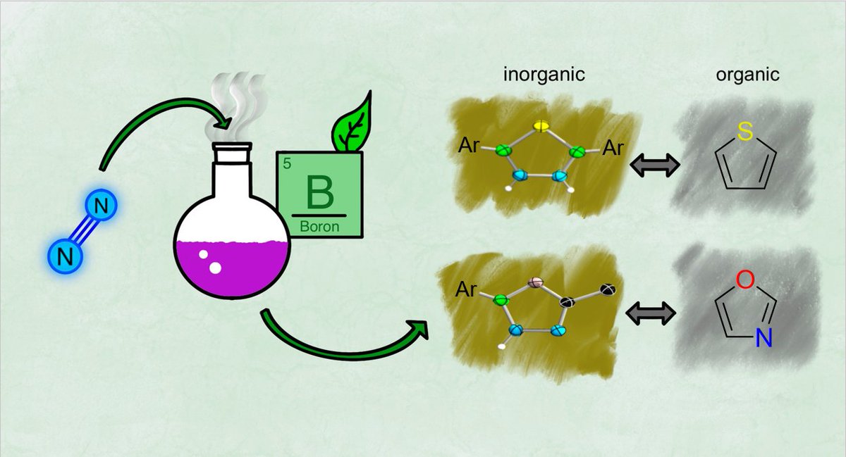 Check out Marco's new paper on the ammonia and transition metal free synthesis of inorganic N-N bond containing heterocycles, which has just been accepted by @angew_chem. Thanks to everyone for their contributions! #11B #chemtwitter #UniWue onlinelibrary.wiley.com/doi/epdf/10.10…