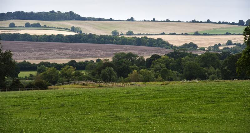 Six SFI actions to be capped to 25% of land Defra has announced that new SFI applicants will only be able to put 25% of their land into six of the SFI actions which take land out of direct food production. Read more here👉nfuonline.com/updates-and-in…