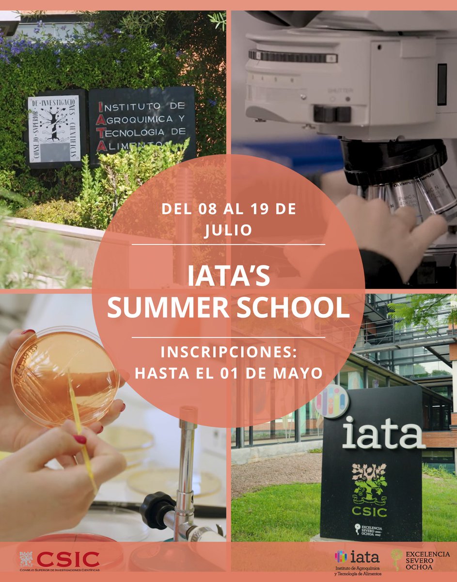 En el Marco de la acreditación de Excelencia Severo Ochoa, el <a href="/iata_csic/">IATA CSIC</a> organiza la primera edición de una #SummerSchool para estudiantes de grado con interés en la Ciencia de Alimentos.  

📅 Del 08 al 19 de julio 

🔗Inscripción: forms.gle/wcH1WJFh1eagQE…

❌Concluye el 01/05