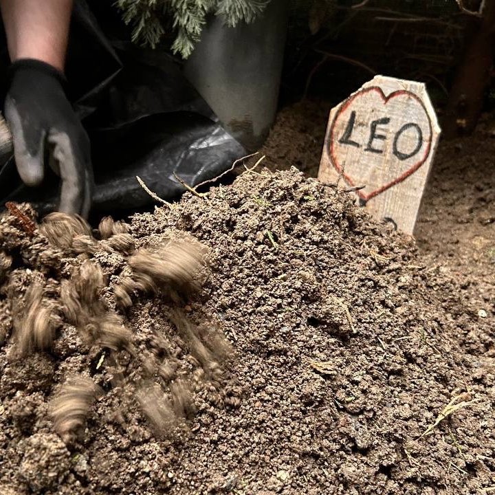bosunatiklama's tweet photo. Banu Parlak'ın köpeğinin saldırarak öldürdüğü 'Leo' isimli köpek, toprağa verildi. https://t.co/2nnDicNz0t