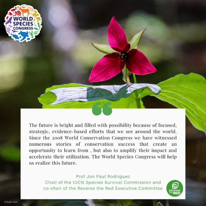 IPBES's tweet photo. Reverse the Red is hosting a first-ever World Species Congress, taking place online on 15 May 2024.

Register to attend the Congress: https://t.co/954dNLINpe

More about @ReversetheRed1 : https://t.co/H1cZsvLuk1