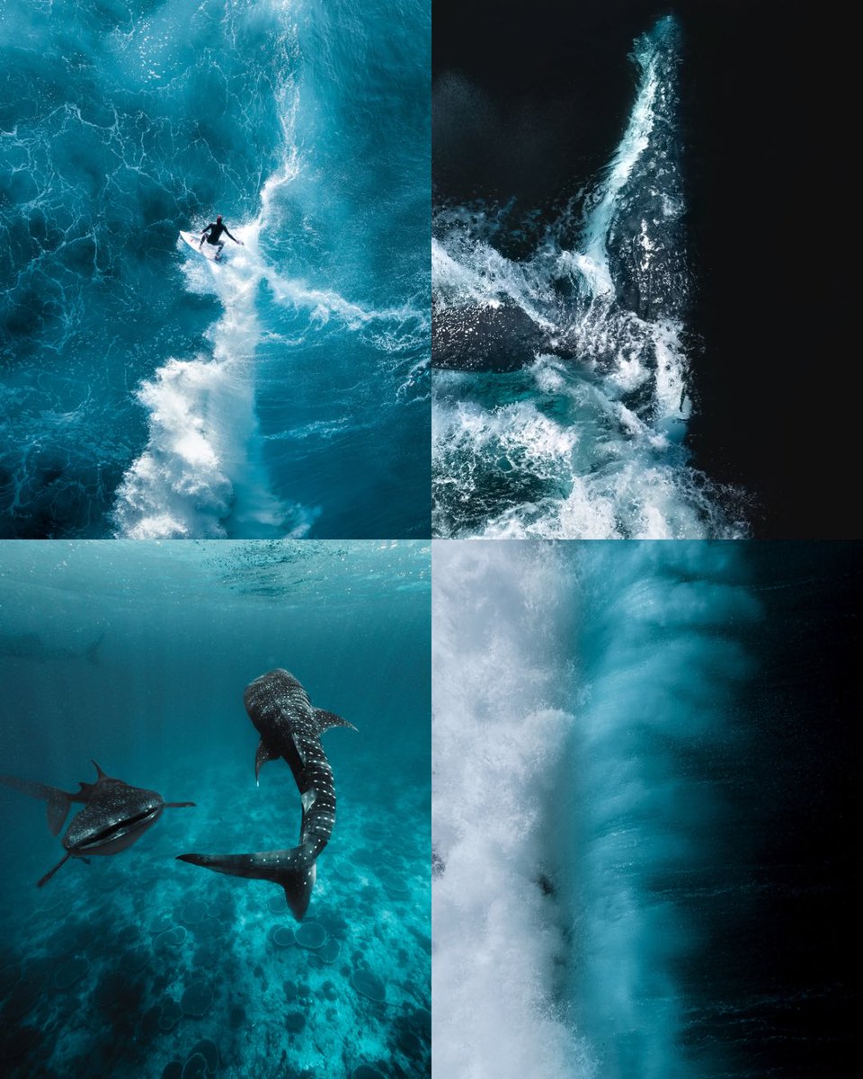 Gn friends 

Less than 27 days until the BTC halving 🌊🖼️