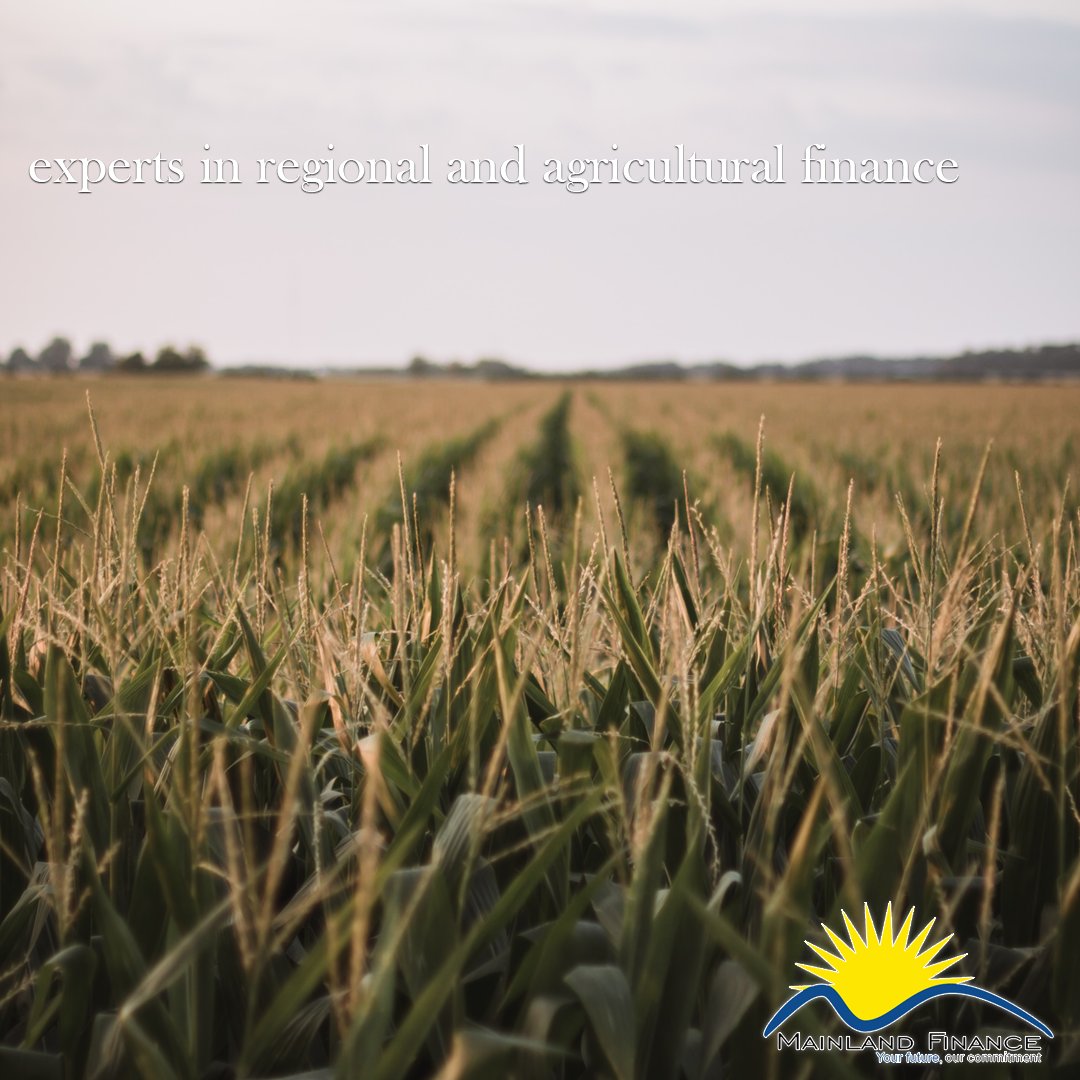 We are experts in all aspects of regional and agricultural finance.
#farmloan #farmfinance #agrilending #agribusinesslending #farmloansaustralia #carloan #finance #asset #assetfinance #broker #loan #money #businessfinance #businessloan #deniliquin #newsouthwales #victoria #ausag