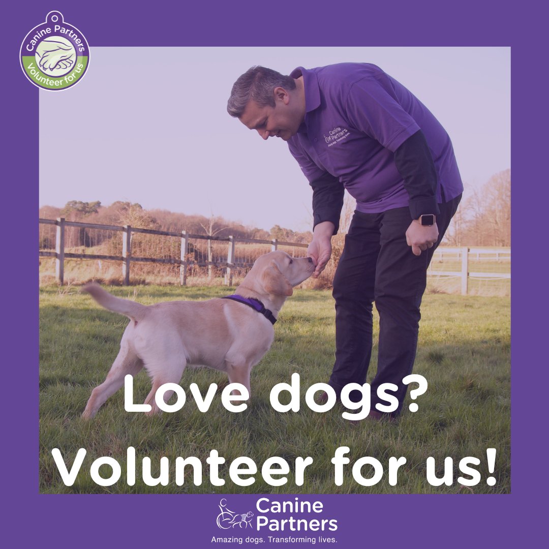 Looking for a rewarding volunteer role working with our puppies or dogs? Take a look at the variety of roles we have on offer here at Canine Partners caninepartners.org.uk/volunteerforus/