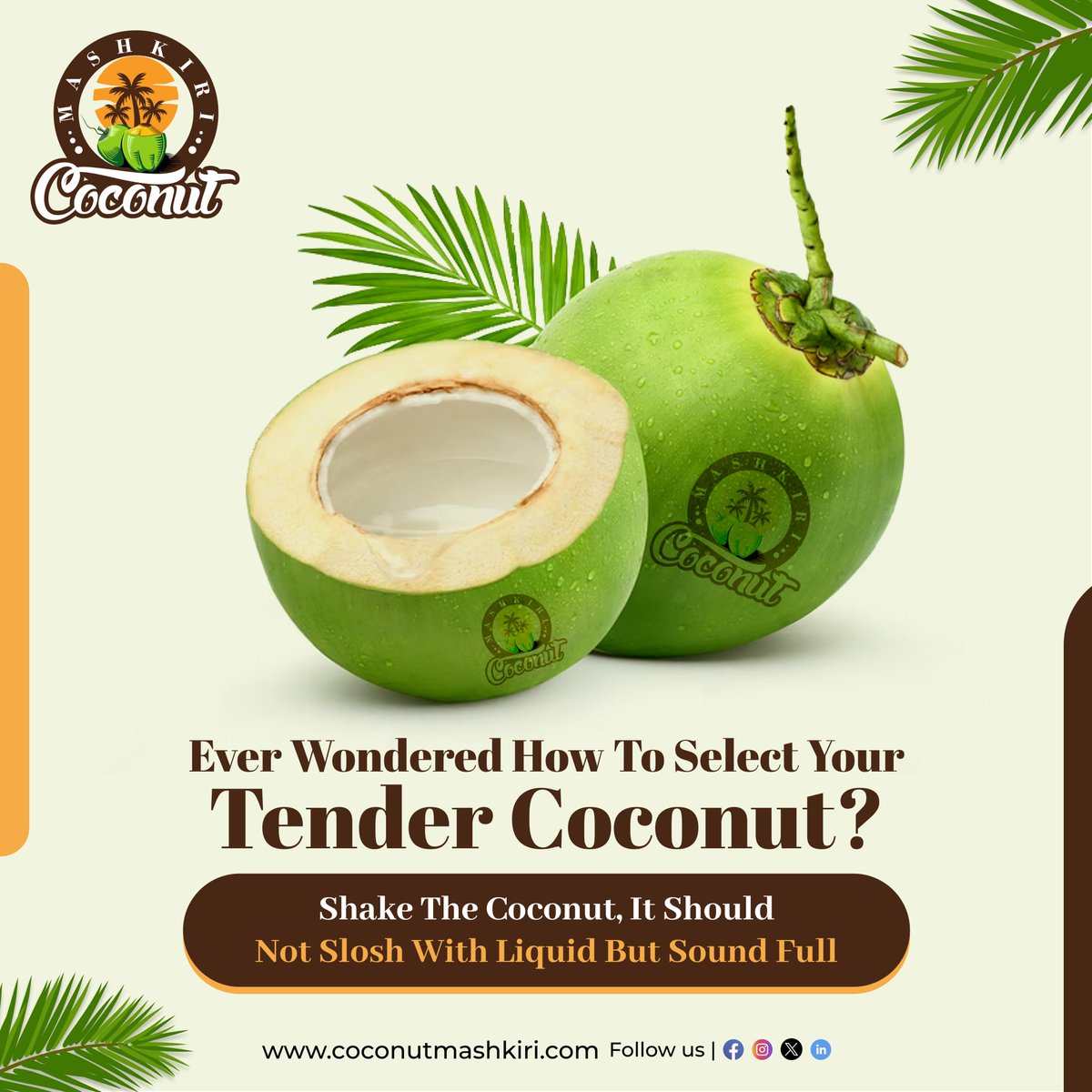 🥥 Discover the secret to picking the perfect tender coconut! 🌴

Shake it gently - if it's full and not sloshing with liquid, you've found your match! 

Follow our page to know more!
.
.
.
#tendercoconut #tendercoconutwater #tendercoconuts #coconutwater #coco #hydration