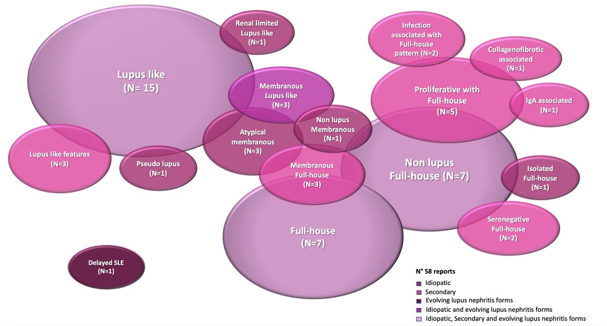 An emerging disease entity, non-lupus full house nephropathy, has not become enough attention so far! In @CJASN, we report the results of a systematic literature review and present a diagnostic roadmap. Don't be shocked as it will be the most 'pinkish' images you ever saw!