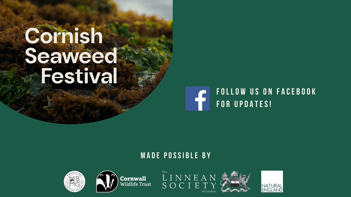 📢Save the date! Join us at the #CornishSeaweedFestival on May 11th & 12th in #Marazion. In partnership with @NaturalEngland, @CwallWildlife, @MountsBayMarine, and the @LinneanSociety, explore #seaweed through workshops, talks, art, and more! 🌿 Follow us on Facebook for updates!