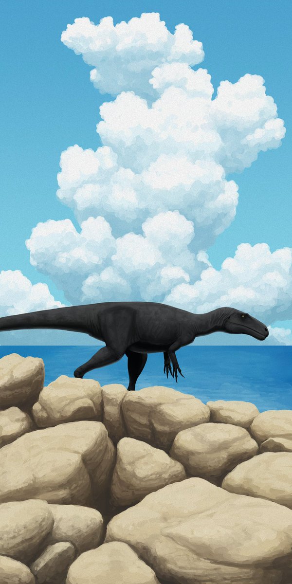 AshleyPalaeo's tweet image. Some before and afters