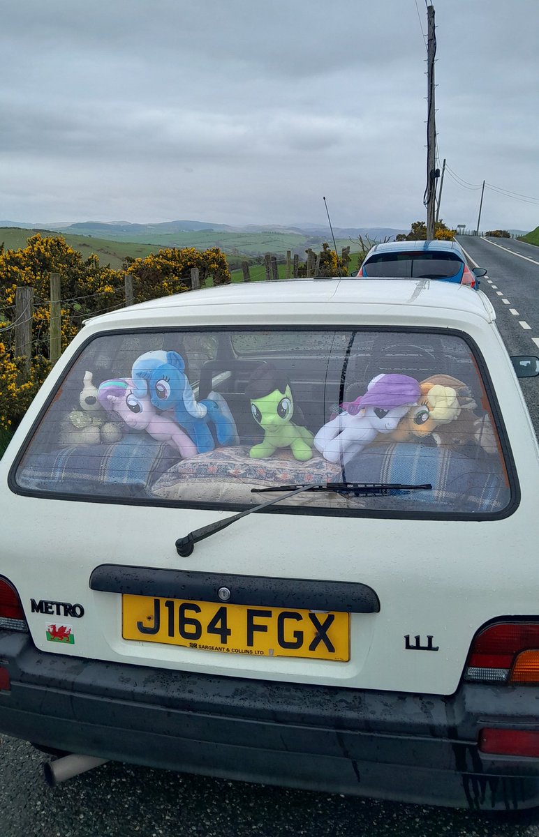 Wocks 🏴 @Festival of Friendship! tweet media