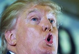 lobosgatos's tweet photo. I would say "What happened to the GOP?", but they have always been the party of greed and doing very little for their constituents. Now, they are the party of traitors. https://t.co/BPY1vO09jj